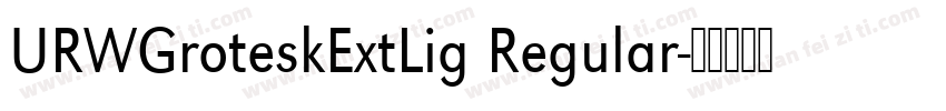 URWGroteskExtLig Regular字体转换